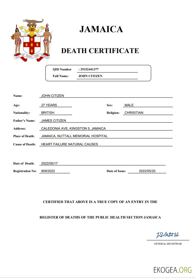 Modèle Word et PDF de certificat de décès de l'état civil de la Jamaïque